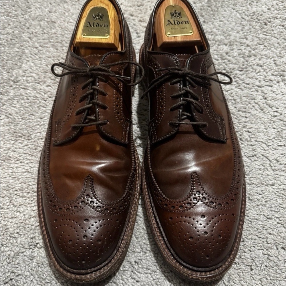 Alden Color #4 Shell Cordovan Long Wing Blucher 11B
